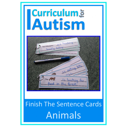 Writing Sentences Write & Wipe Cards